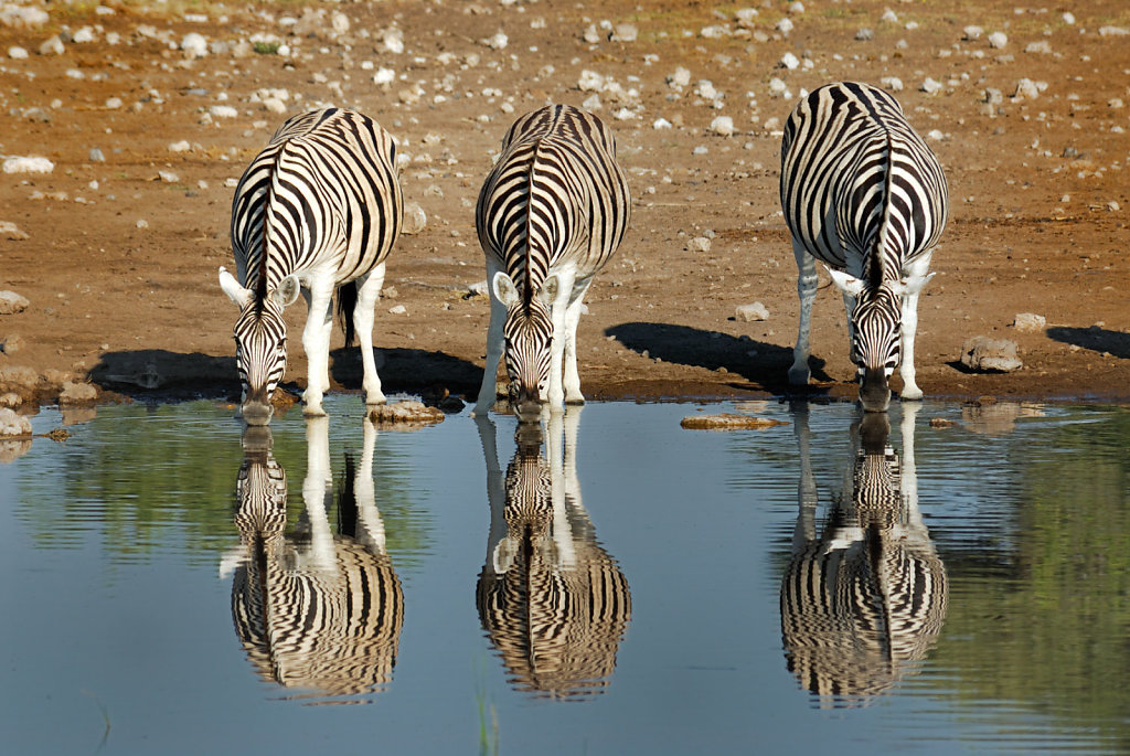 Namibia